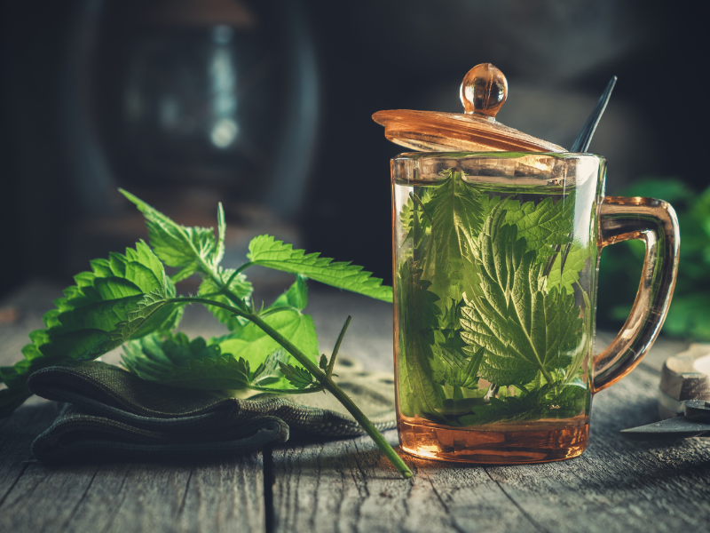 Remède naturel contre le vomissement vert avec de la menthe