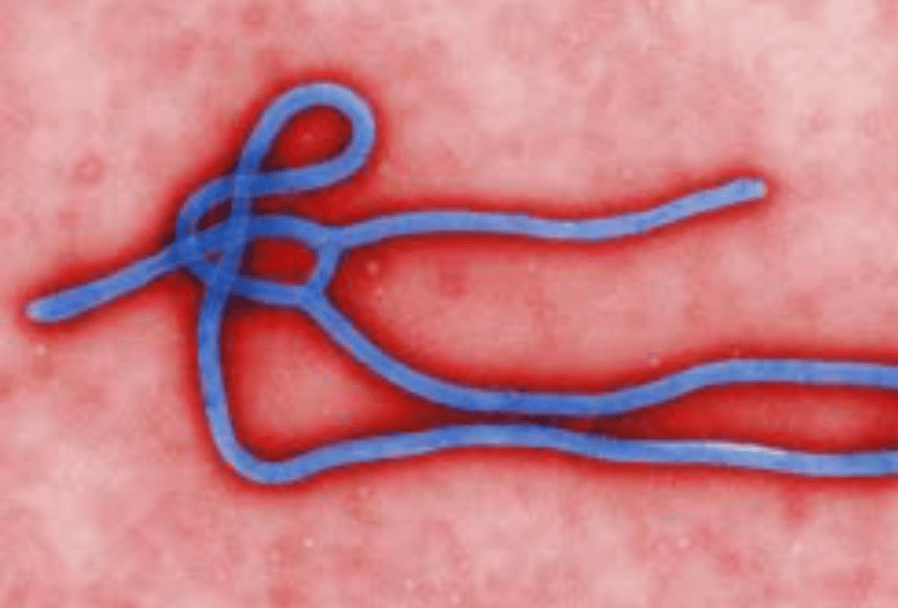 Ebola vaccin 2026