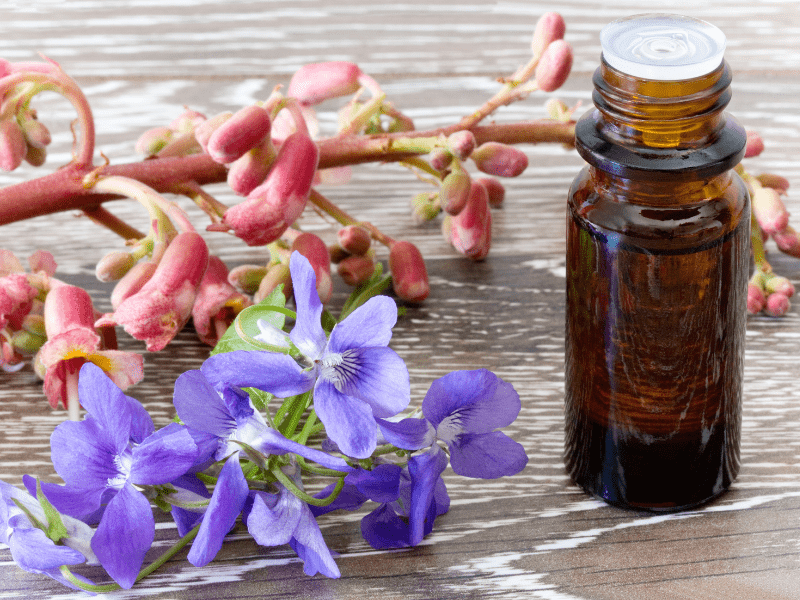 Extrait de deux fleurs de Bach à côté d'un flacon pour distiller leurs essences.