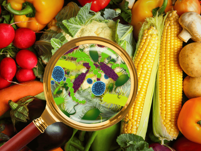 Intoxications alimentaires : vigilance représentée par une loupe sur des aliments par un consommateur.