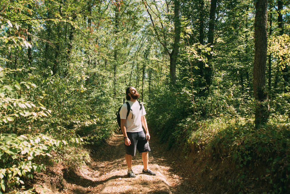 Homme regardant la nature dans une forêt après avoir fait de la marche.