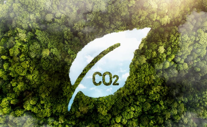 Forêt représentant le monoxyde de carbone présent dans l'air.