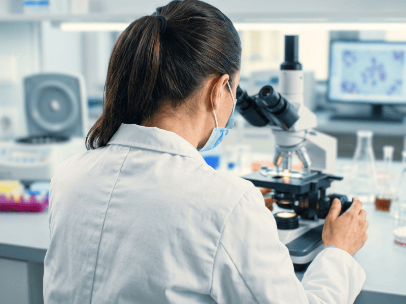 Obésité médicaments recherche