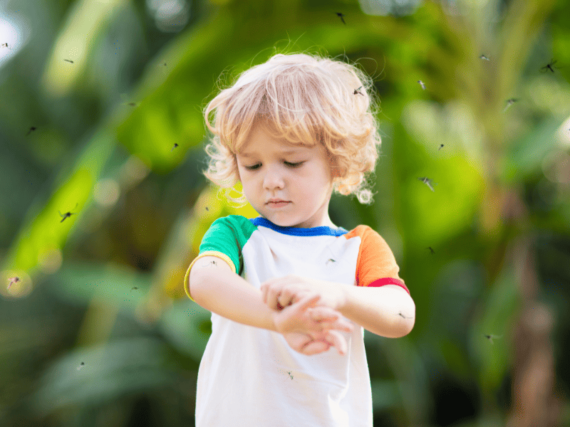 Enfant qui se fait piquer par un insecte