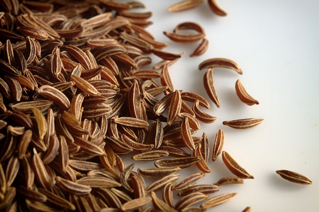 Le carvi aussi appelé « cumin des prés » pour sa ressemblance aux graines de cumin.