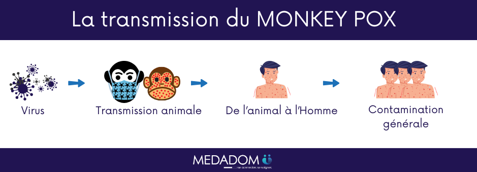 Schéma représentant la transmission du MONKEY POX