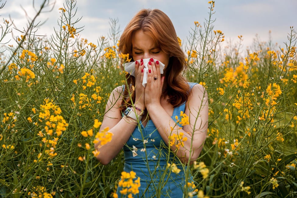 5 techniques pour soulager l'allergie au pollen