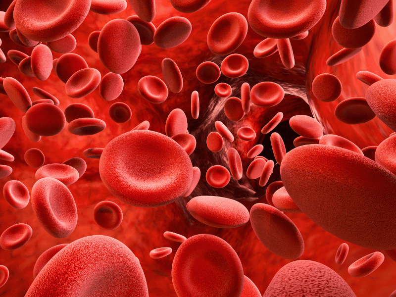 Thrombocytose primaire ou secondaire qui influence le sang