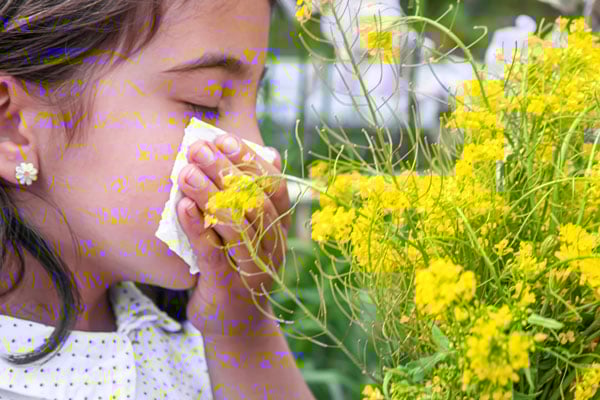 L’allergie au pollen résulte d’une inflammation des voies respiratoires