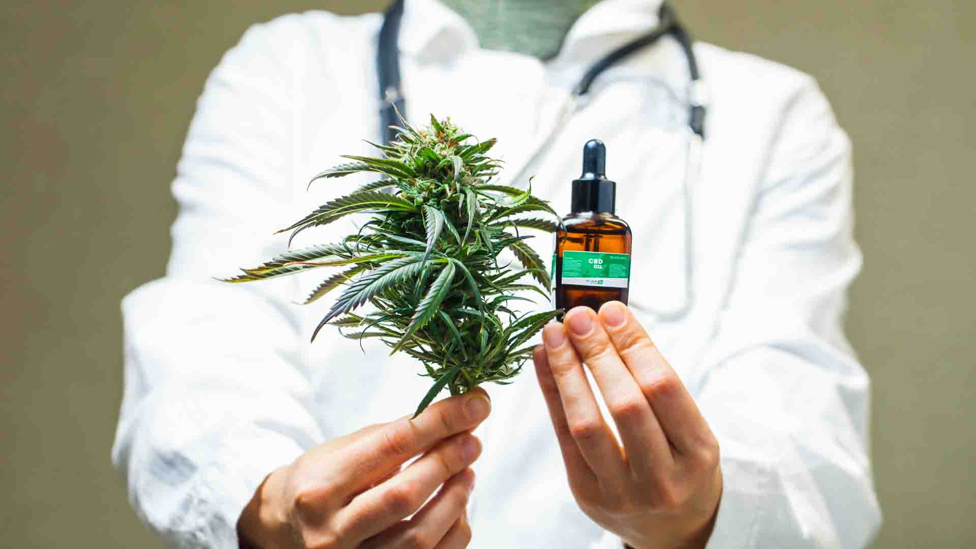 cannabis thérapeutique: drogue et médicament ?