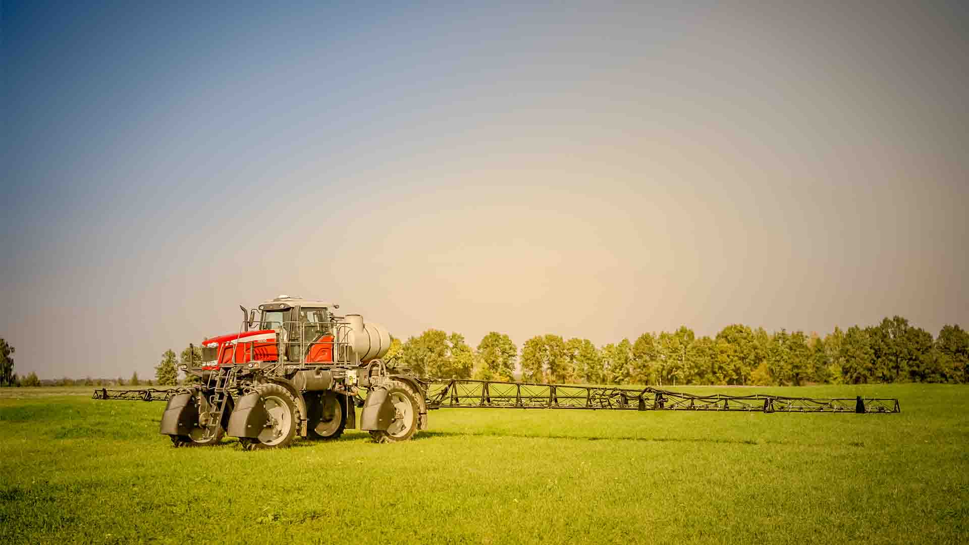 effets du glyphosate sur la santé