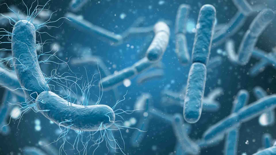 Mycoplasme : d’où vient cette IST particulière