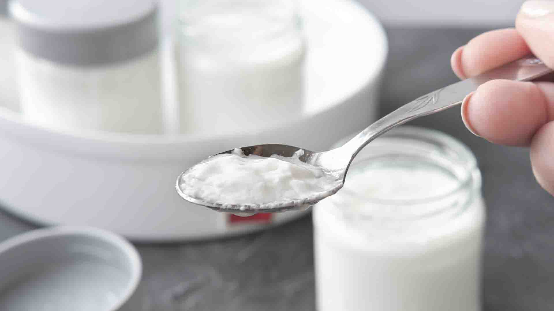 Les produits fermentés comme les yaourts contiennent des probiotiques naturels