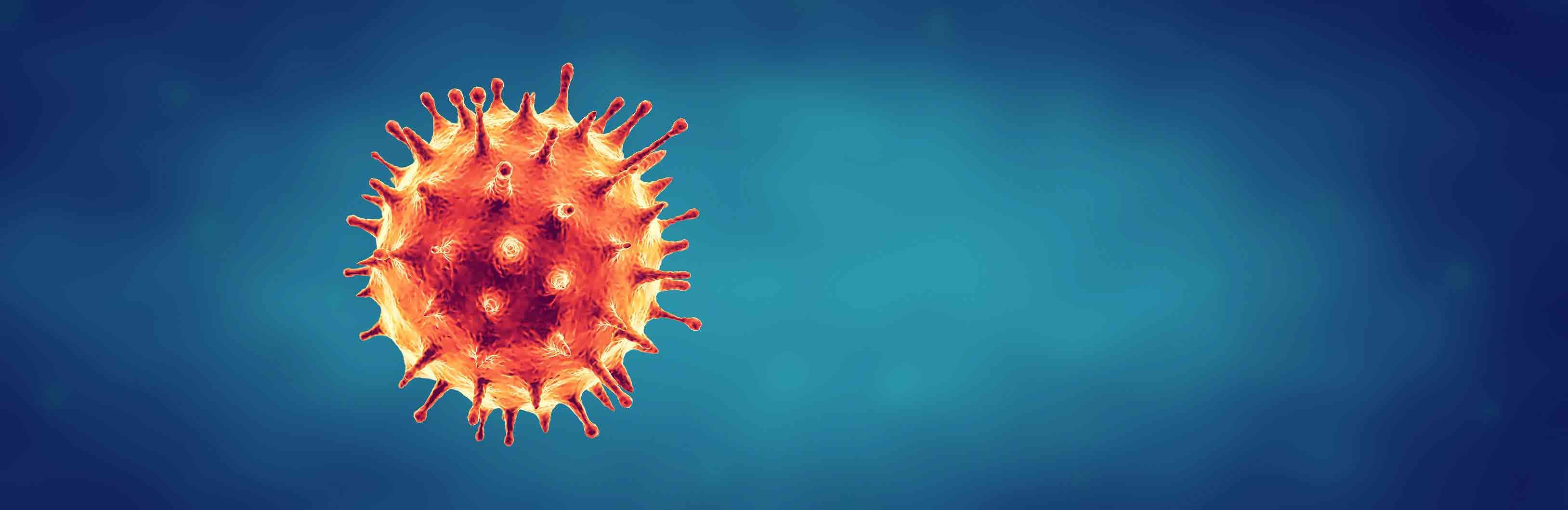 les variants du coronavirus