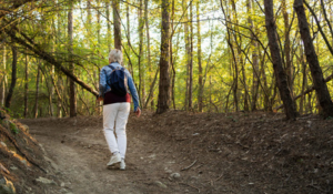 Découvrez l'écothérapie, une approche thérapeutique qui utilise la nature pour améliorer votre bien-être mental et physique.