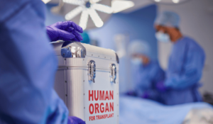 don d'organes représenté par une mallette de transport d'organes