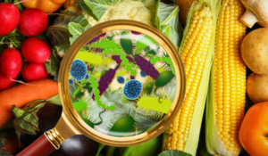 Intoxications alimentaires : vigilance représentée par une loupe sur des aliments