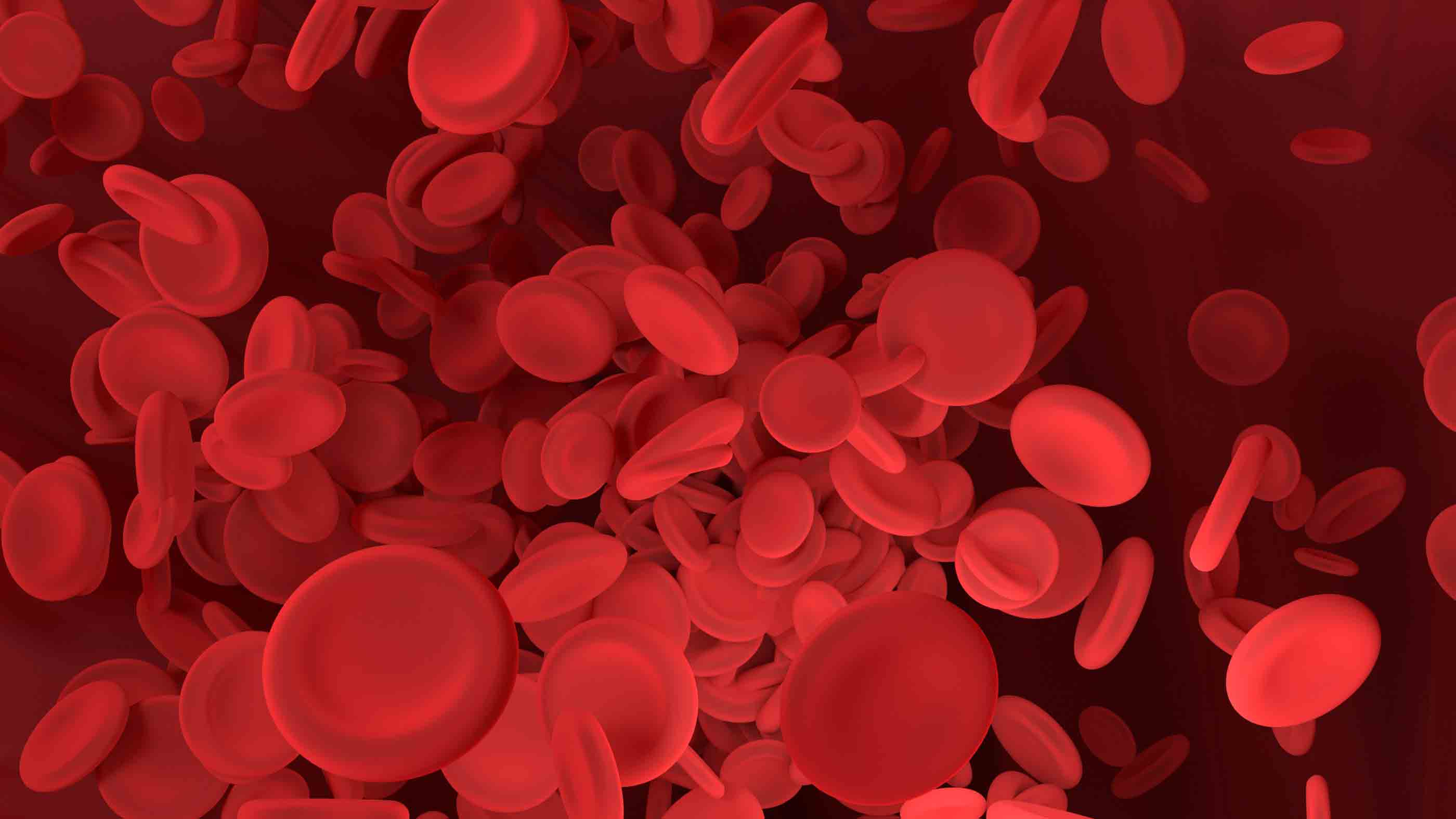 Anémie et cancer : comment explique-t-on le manque de globules rouges?