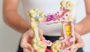 Découverte d'une bactérie clé pour la maladie de Crohn