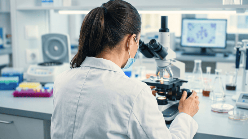 Nouveaux médicaments obésité et les avancées de 2026
