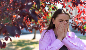 Vous êtes asthmatique et vous êtes sensible aux pollens ? Il existe un lien entre ces deux pathologies.