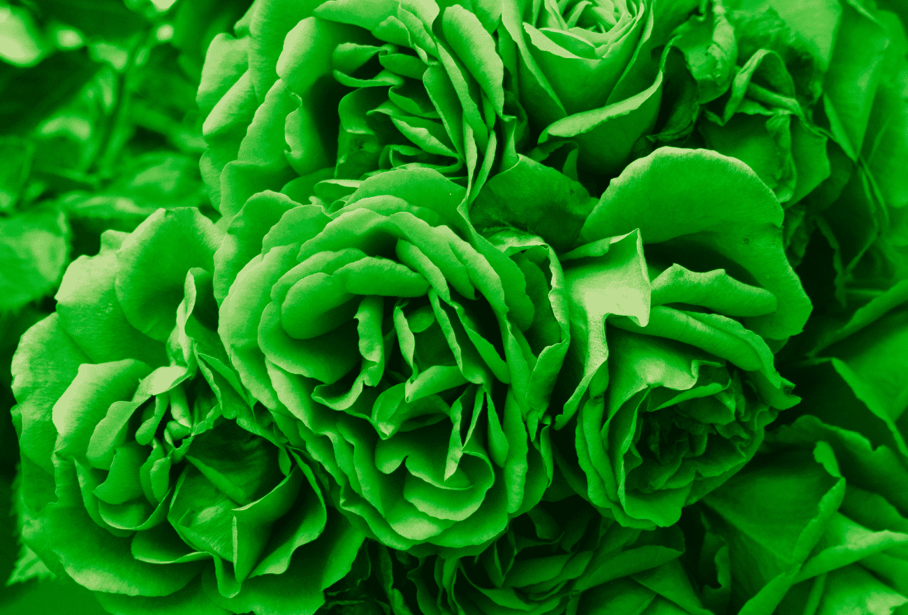 Vomissement vert : dois-je m'inquiéter ?