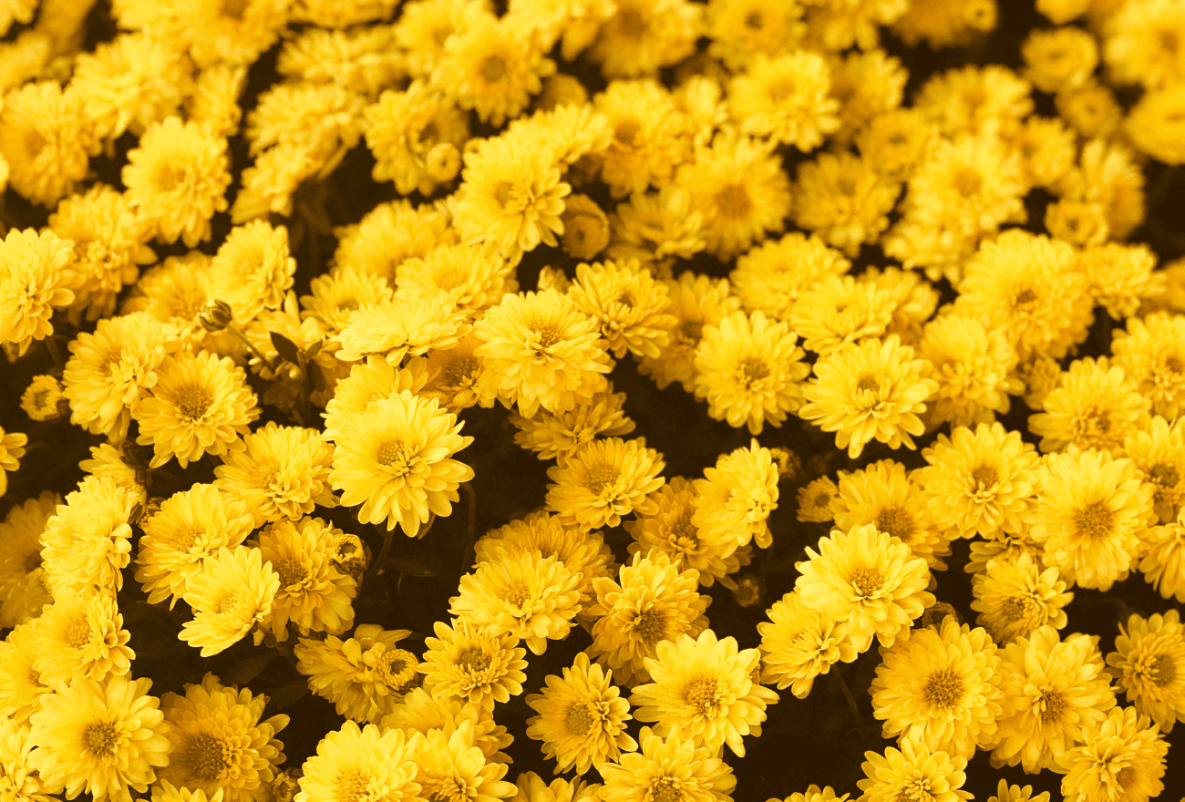 Vomissement jaune : dois-je m'inquiéter ?