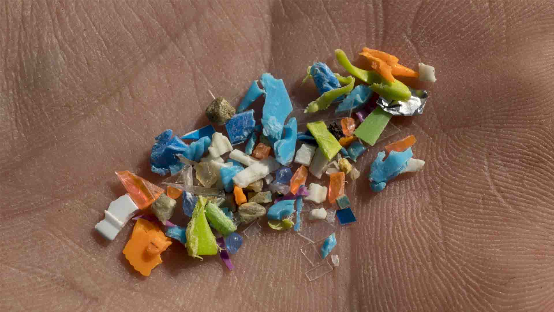 risques des microplastiques dans l'eau et les aliments
