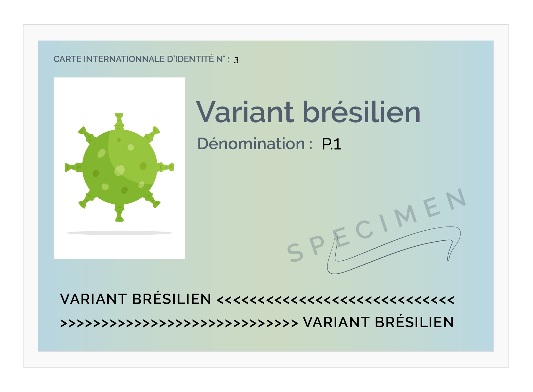 carte d identite variant V2_variant brésilien (2)