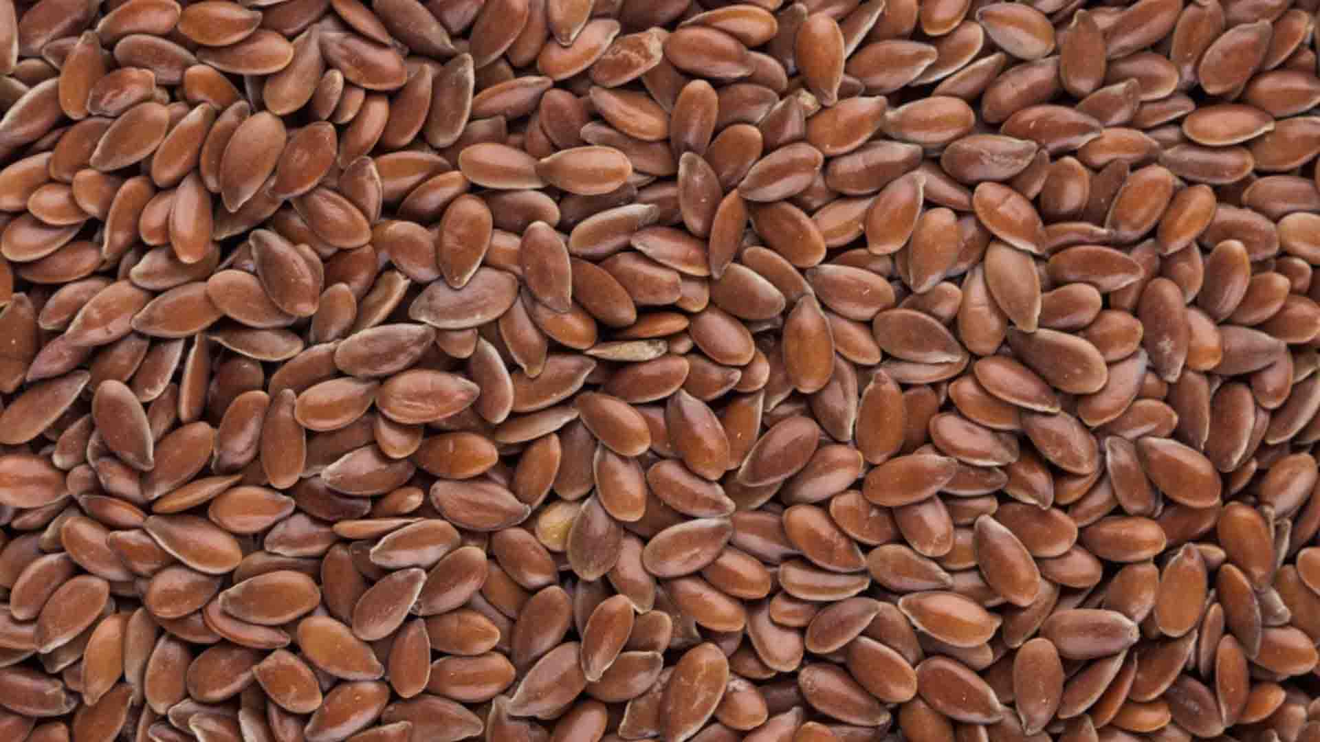 Les graines de lin pour maigrir : comment les consommer ?