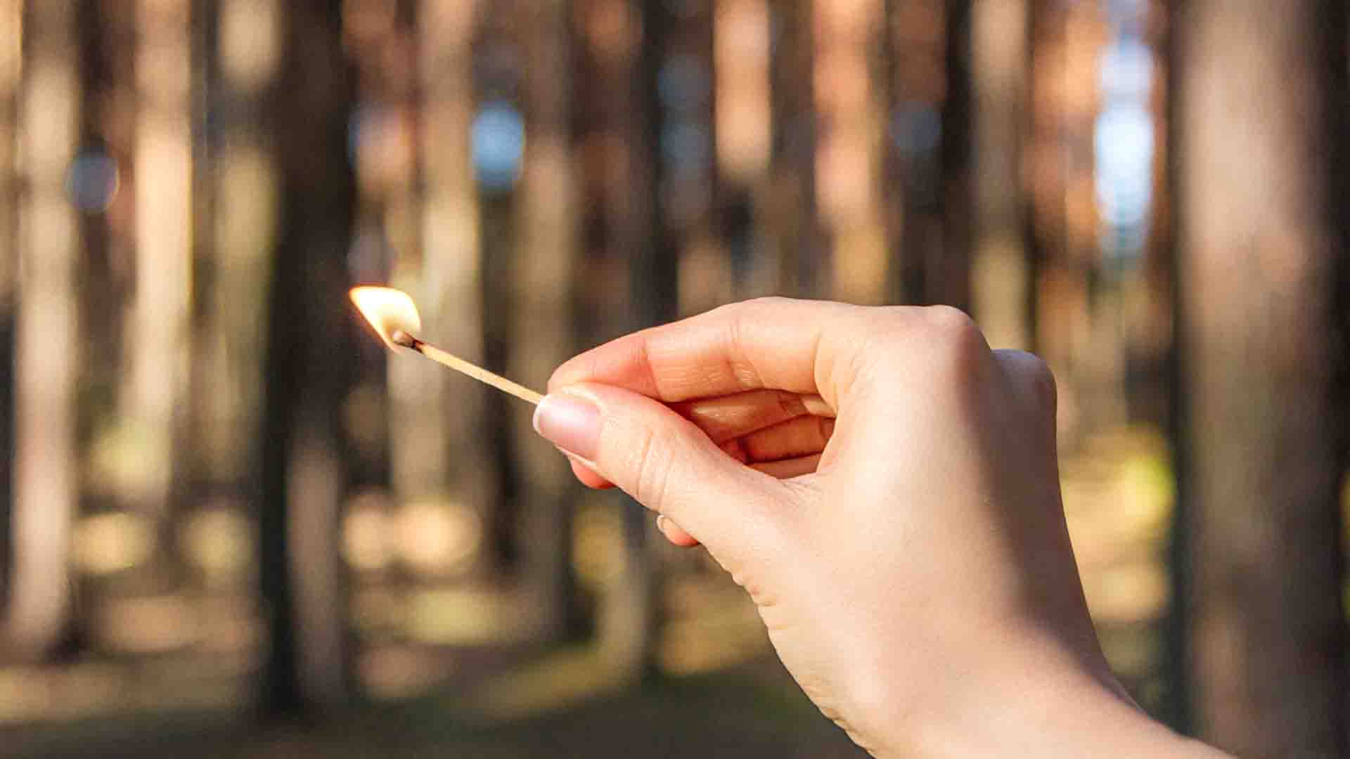 Personne pyromane dans une forêt